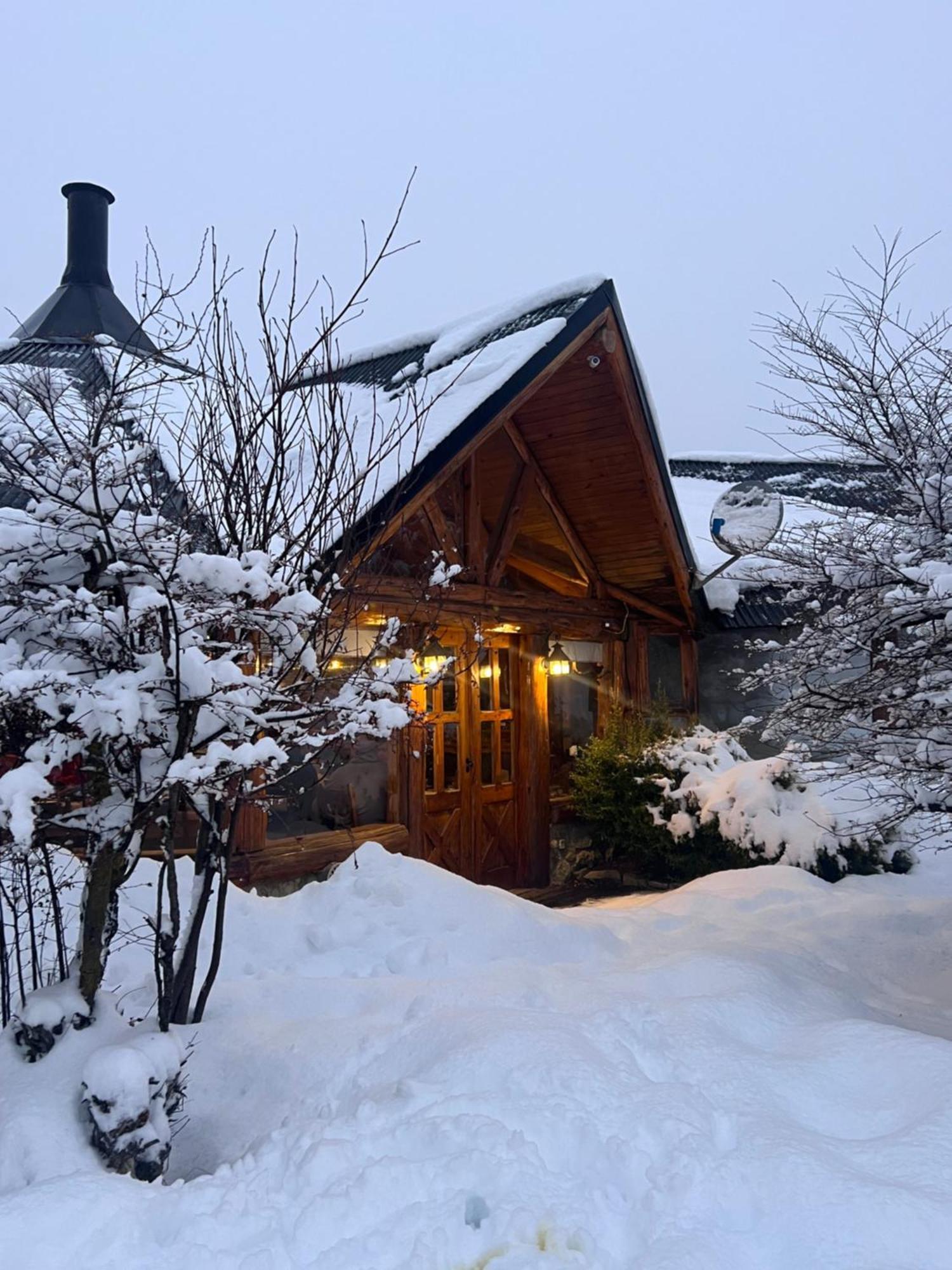 Los Nires Lodge Cerro Catedral 圣卡洛斯-德巴里洛切 外观 照片